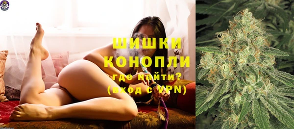 мяу мяу мука Вязьма