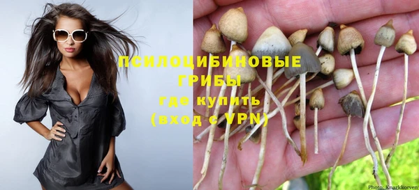 a pvp Вяземский