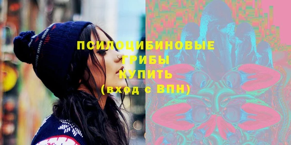 мяу мяу мука Вязьма